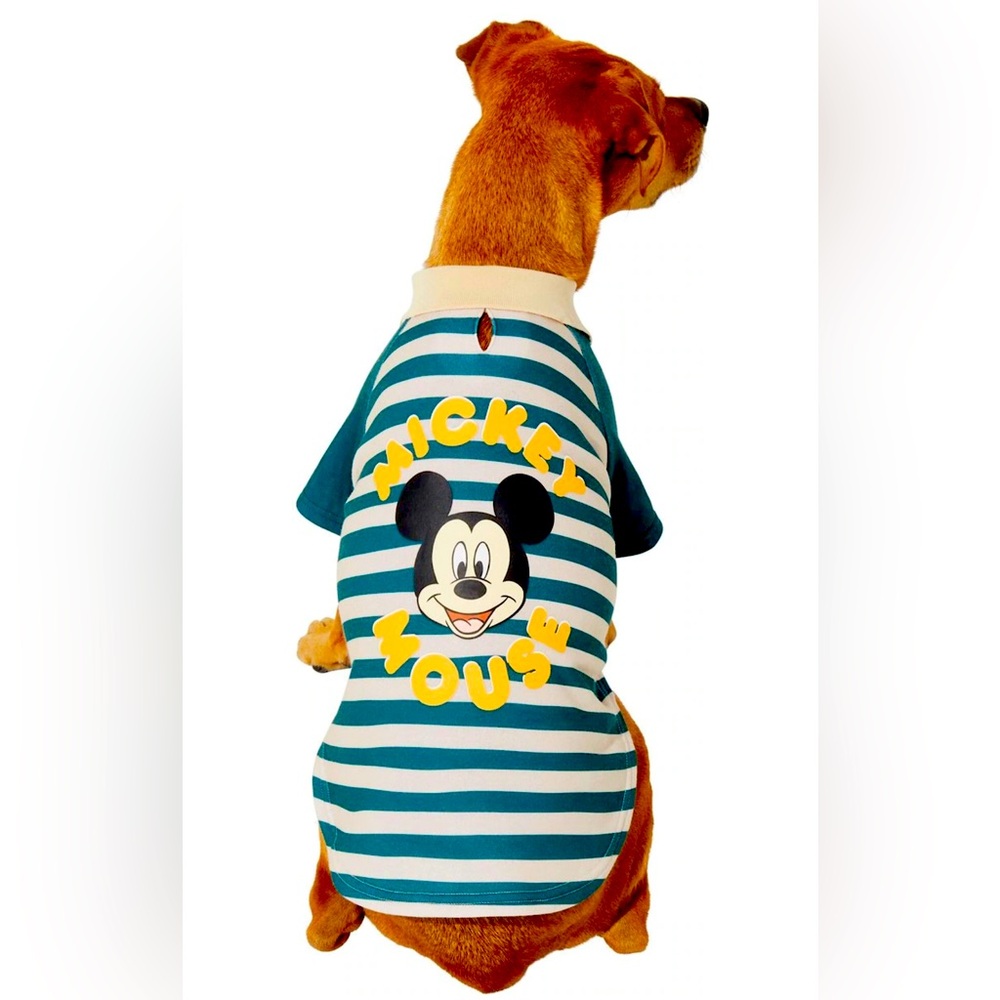 Disney 
Mickey Mouse Rugby